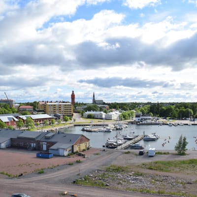 Utsikt från tornet på Drottningberg i Hangö.