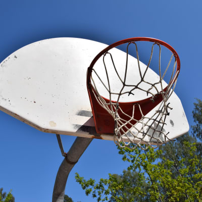 En basketkorg mot en blå himmel och gröna träd.
