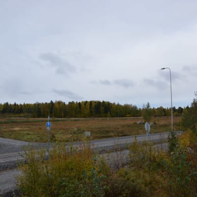 Långskogens industriområde i Vasa, ännu obebyggt.