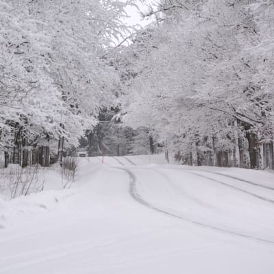 En snöig väg.
