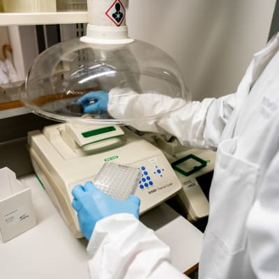 Tutkija  FIMMin laboratoriossa sekvensserilaitteella kädessään CDNA-näytteitä