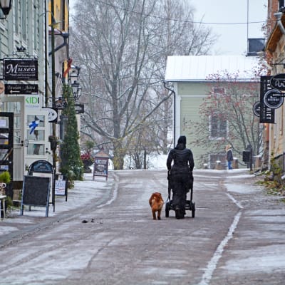 Kvinna går med hund i snöslask