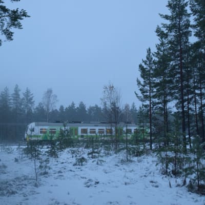 En rälsbuss syns bakom några träd. Marken är täckt av snö.