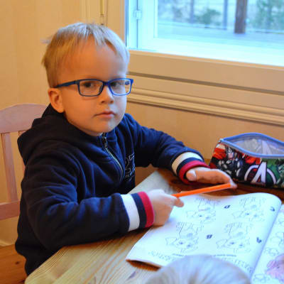 Sexåriga Albin Backman på Vessö, Borgå.