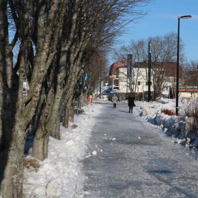 Två personer går på en isig trottoar. Till vänster i bild en rad med träd.