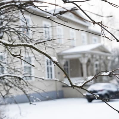 Det stora hus som går under namnet "Varkaus klubben" i bakgrunden. I förgrunden en kal kvist med snö på.