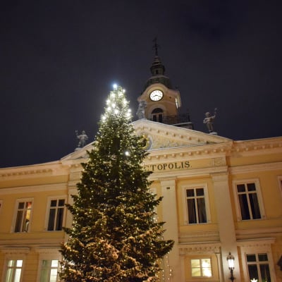 Porin Raatihuoneen Joulukuusi