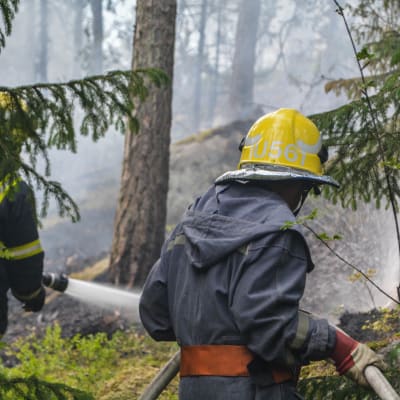Brandmän släcker i skogen