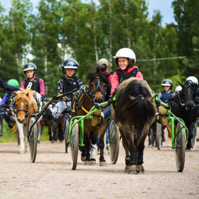 Flera barn som tränar på att köra trav. Glada och koncentrerade miner.