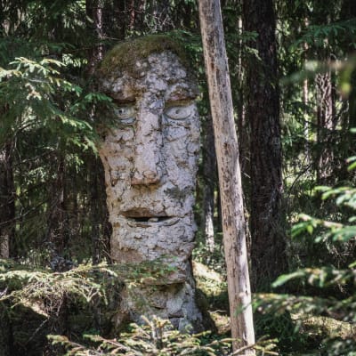 Skulptur i skogen: stort ansikte med mossa som hår står bland granar.