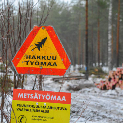 Varningsskylt som varnar om skogsavverkning vid ett skogsområde. 