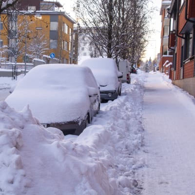 Bilar täckta av snö längs Näse-Juttes gata i Borgå.