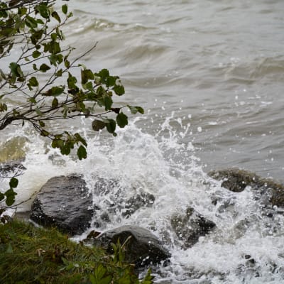 En sten i vattnet som är täckt av vpgor och skum, Vattnet strittar upp.