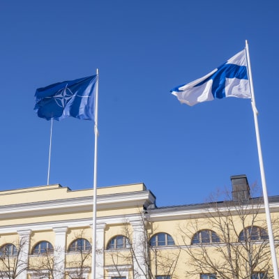 Natoliput liehuvat ulkoministeriön edessä.