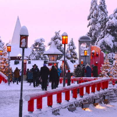 Luminen joulukuusi ja matkailijoita Joulupukin pajakylässä Napapiirillä.