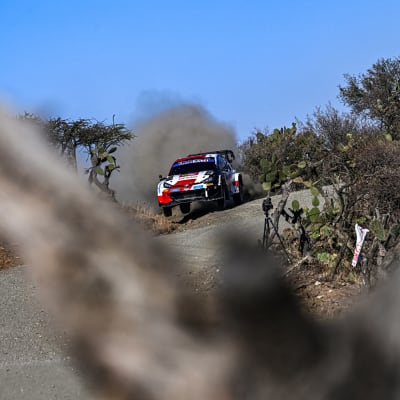 Sebastien Ogier kuvassa