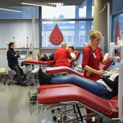 Folk utspridda på britsar för att donera blod till Blodtjänst. 