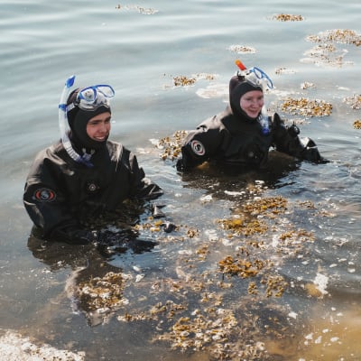 Kaksi lukiolaista rantavedessä kuivapuvut ja snorkkelit päällä Dalskär-saarella.