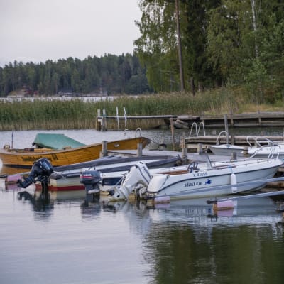 Båtar ligger vid en brygga i en småbåtshamn.