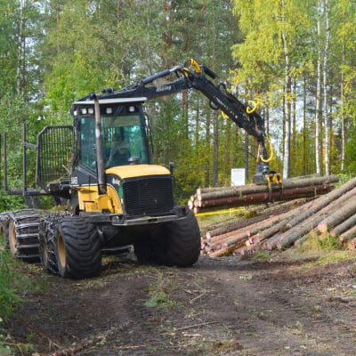 En skogsmaskin kör ut virke