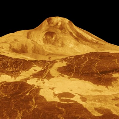 En 3D-bild av Venus yta
