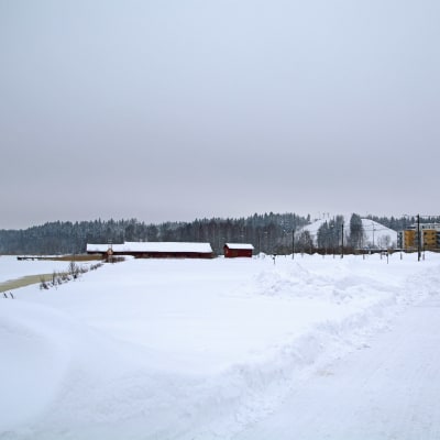 Västra åstranden i Borgå täckt av snö, i bakgrunden syns en skidbacke.