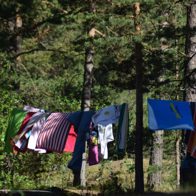 En bild på ett klädstreck som är upphängt mellan två tallar. På strecket hänger handdukar i olika färger och en del är randiga.