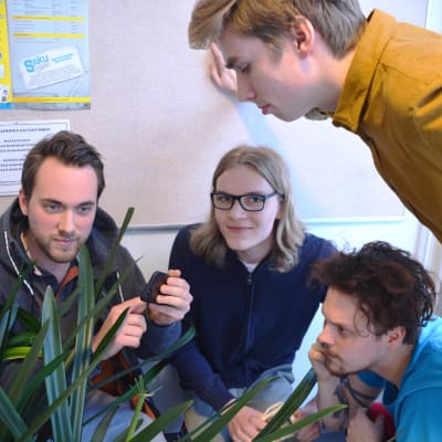 En kvartett från Akademen tar ton från telefon och sitter på huk med koncentrerade blickar vid några krukväxter.