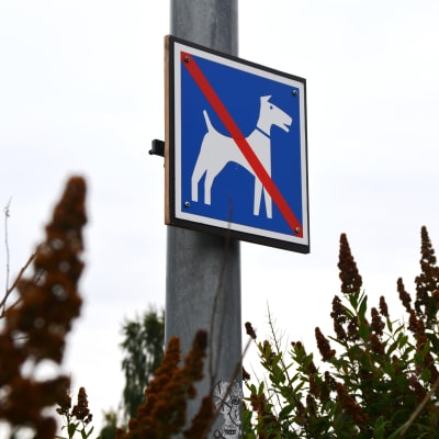 Förbjudet för hundar-skylt.
