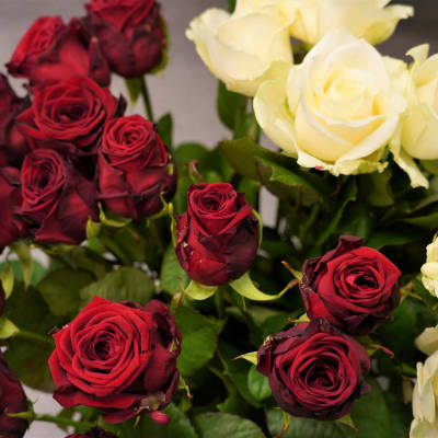 Röda och vita rosor står i en bukett i en blomsteraffär.