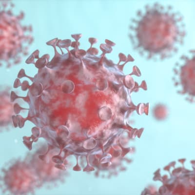 3d-illustration på flera coronavirus, mot en ljusblå bakgrund.