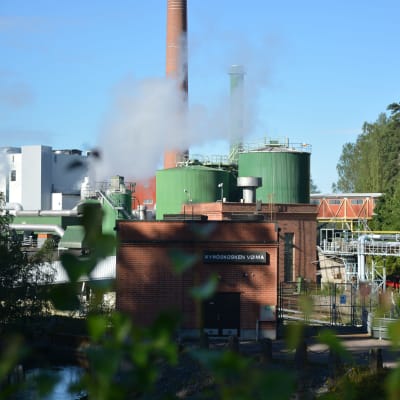 Ånga stiger från Metsä Boards fabrik. 