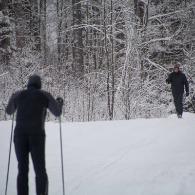 Två män skidar i Kokon skidspår.
