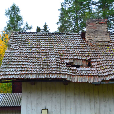 Taket på en gammal hönsgård.