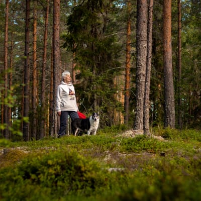 Lyhythiuksinen nainen valkoisessa hupparissa seisoo marjaämpäri kädessä. Vierellä lyhytkarvainen collie, ympärillä vehreää metsää.