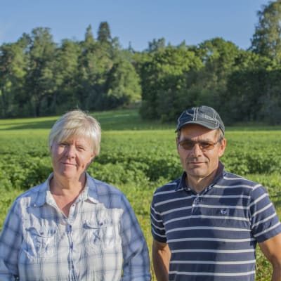 Claes Lindberg och Birgitta Nikander-Lindberg vid ett potatisfält