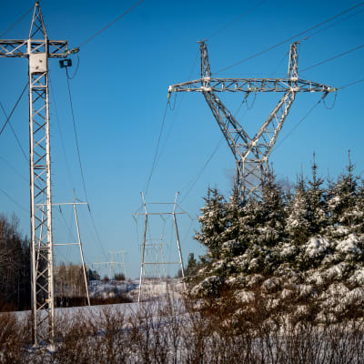 Kaksi sähkölinjaa talvisessa maisemassa.