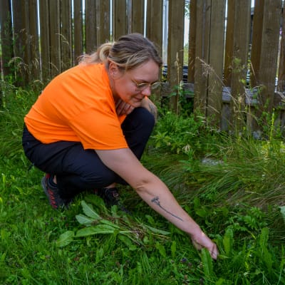 En kvinna i orange tröja sitter på huk och rensar ogräs. 