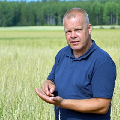 Thomas Antas vid sina rypsfält.