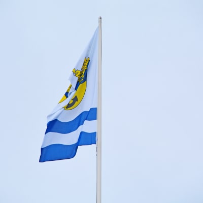Flagga med Lovisa stads vapen vajar i vinden
