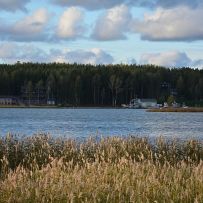 Företaget Airiston helmis fastighet i Ybbärsnäs, Pargas.