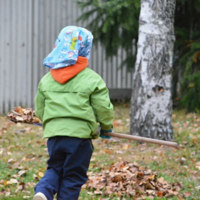 Ett barn med grön jacka och huckle fotat bakifrån. Barnet bär en kratta och i bildens bakgrund finns en löv. 