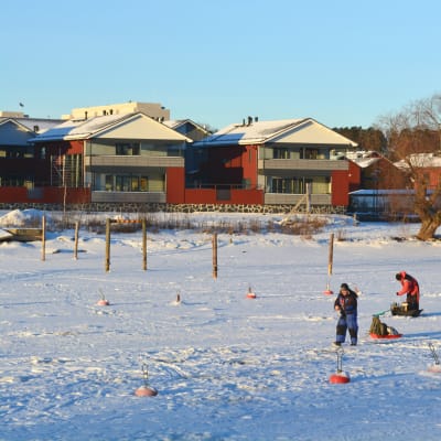 pilkare pilkar gös