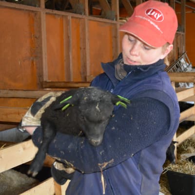 Crista Hällfors håller ett av familjens svarta lamm