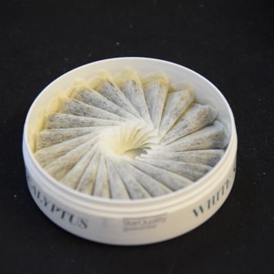 Snusburk