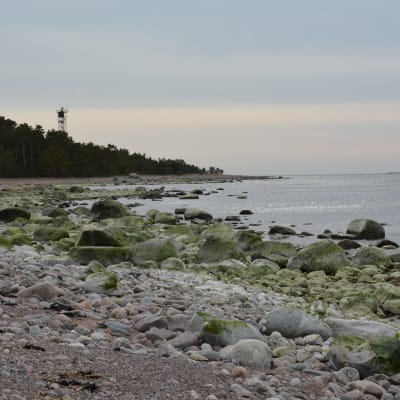 Stranden på Örö.