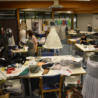 Modlinjen vid Västra Nylands folkhögskola i Karis har 12 studeranden hösten 2014 och våren 2015.