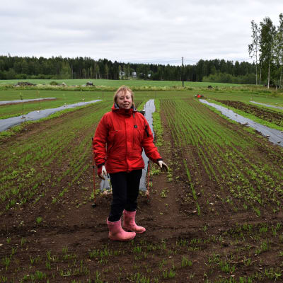 Mari Vänskä-Ruotsalainen pellollaan
