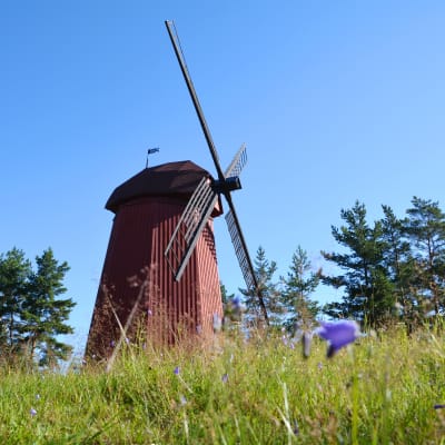 Den röda kvarnen som står på Kvarnåsen i Lovisa.