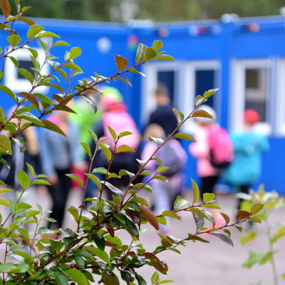 Buske med suddiga skolbarn och baracker i bakgrunden